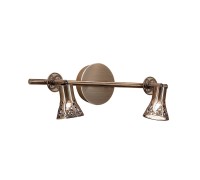 Спот Винон CL519523 Citilux