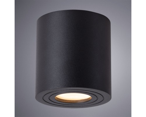Потолочный светильник уличный Galopin A1460PL-1BK Arte Lamp