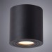 Потолочный светильник уличный Galopin A1460PL-1BK Arte Lamp