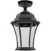 Потолочный светильник уличный ASTORIA 1 L 91305LA Bl Oasis Light