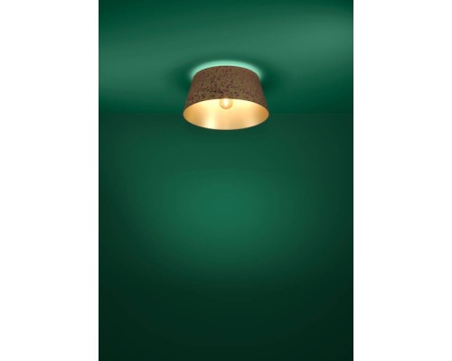 Потолочный светильник CASTUERA 390291 Eglo
