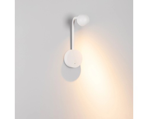 Спот OTTORI 051024 Arlight