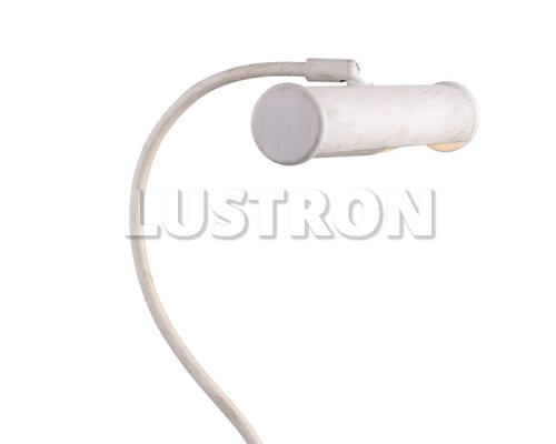 Интерьерная настольная лампа Picture Lights Basic A5023LT-1WG Arte Lamp