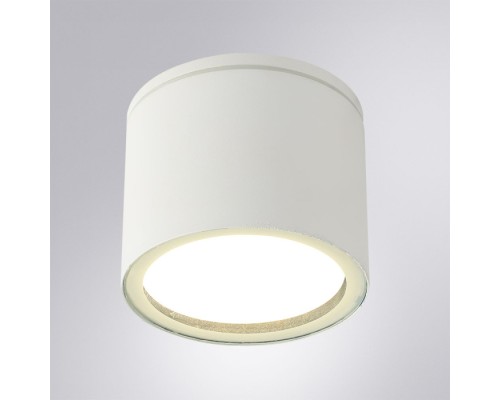 Потолочный светильник уличный Piautos A1913PF-1WH Arte Lamp