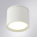 Потолочный светильник уличный Piautos A1913PF-1WH Arte Lamp