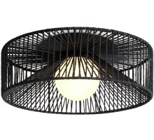 Потолочный светильник Cottage FR5405CL-01B Freya