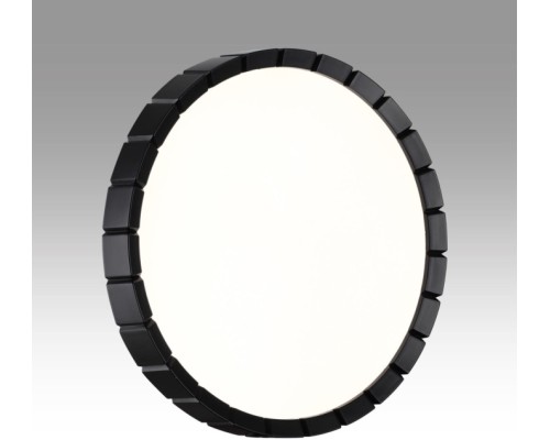 Настенно-потолочный светильник Atabi Black 7649/CL Sonex