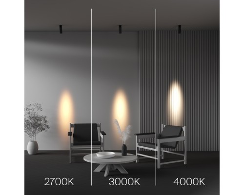 Точечный светильник Focus Led C055CL-L12W4K-SS-B Maytoni