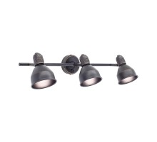 Спот Опус CL502532 Citilux