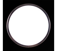 Точечный светильник  41024-9.0-001XW LED24W CR Reluce