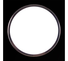 Точечный светильник  41024-9.0-001XW LED24W CR Reluce