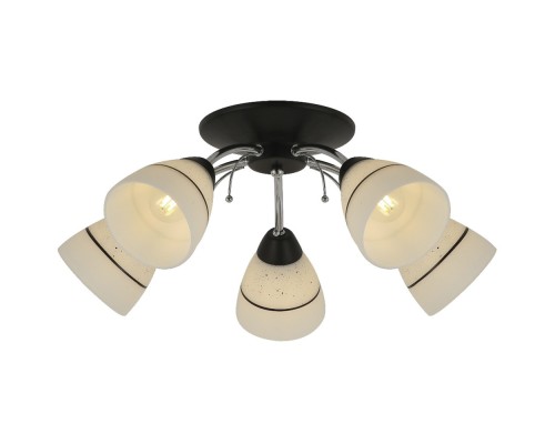 Потолочная люстра Winnifred TL1255D-05BC TopLight