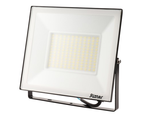 Прожектор уличный PROFI 53410 9 Ritter
