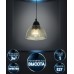 Подвесной светильник Dzhenis WD4004/1P-BK-GN Wedo Light