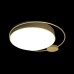 Настенно-потолочный светильник Mike 10063 Loft It