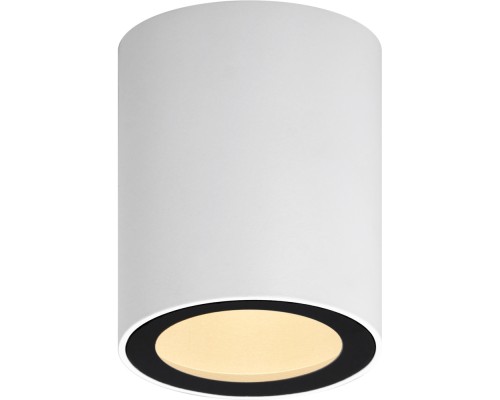 Точечный светильник  OL48 WH/BK ЭРА