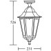 Потолочный светильник уличный PETERSBURG M 79805MA W Oasis Light