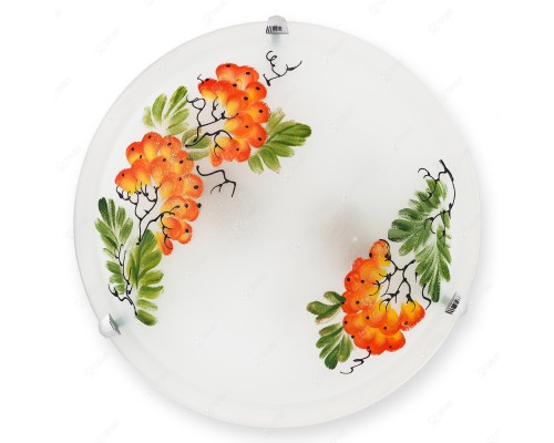 Настенно-потолочный светильник Pirolf TL9351Y-02WH TopLight
