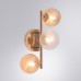 Настенный светильник Etereo A5261AP-3GO Arte Lamp