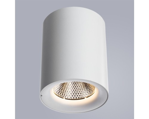 Точечный светильник Facile A5118PL-1WH Arte Lamp