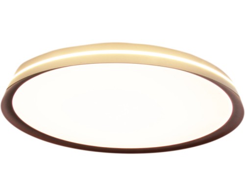 Потолочный светильник Titan MZ31502-640 Mizi'en