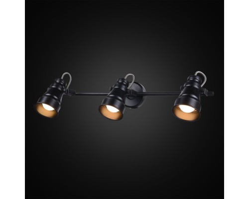 Спот Бейкер CL541531 Citilux
