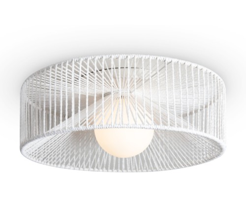 Потолочный светильник Cottage FR5405CL-01W Freya
