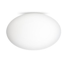 Настенно-потолочный светильник Ron CL941E28 Citilux