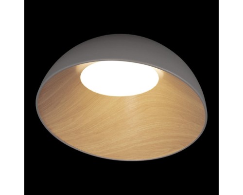Потолочный светильник Egg 10197/500 Grey Loft It