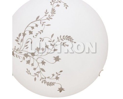 Настенно-потолочный светильник Ornament A3820PL-2CC Arte Lamp