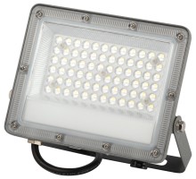 Прожектор уличный LPR-06 LPR-063-0-65K-050 ЭРА
