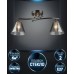 Потолочная люстра Dorika WD3636/2C-CF-FGD-SMK Wedo Light