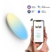 Настенно-потолочный светильник SmartHome 2050112 Gauss