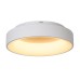 Потолочный светильник Shannon MR2194-1PL MyFar