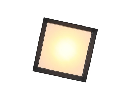 Потолочный светильник уличный Cubista SL077.402.01 ST Luce