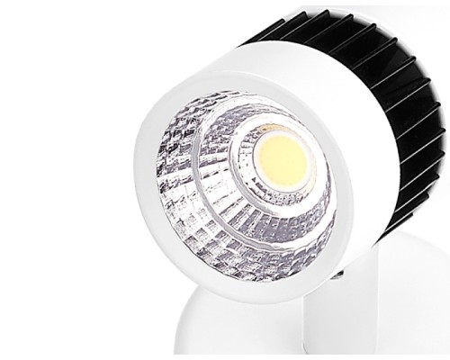Спот Led TN101/7W WH/BK Ambrella