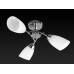 Потолочная люстра Carmel TL3600X-03CH TopLight