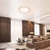 Потолочный светильник LED LAMPS LED LAMPS 81234 Natali Kovaltseva