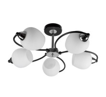 Потолочная люстра Katerina TL2770X-05WC TopLight