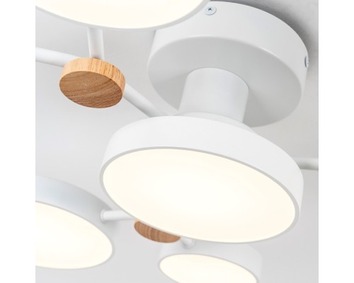 Потолочная люстра LED4U L3201-700 WT LED4U
