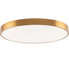 Потолочный светильник Tortty ZRS.02566.96 Zortes