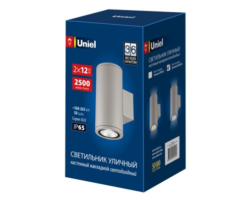 Архитектурная подсветка  ULU-S22D-2x12W/6400K IP65 LIGHT GREY Uniel