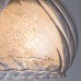 Бра Charlotte A7062AP-1AB Arte Lamp