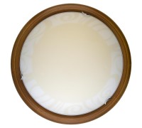Настенно-потолочный светильник Ginger TL9620Y-00OA TopLight