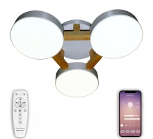 Потолочная люстра LED LED LAMPS 81327 Natali Kovaltseva