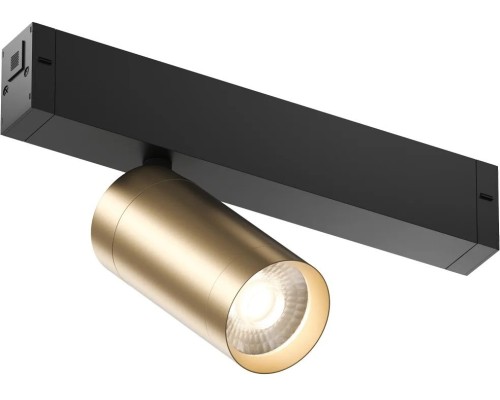 Трековый светильник SMART SPOT DK8010-BG Denkirs