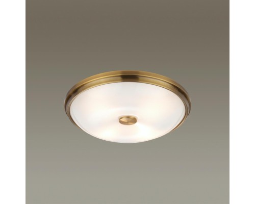 Настенно-потолочный светильник Pelow 4956/4 Odeon Light