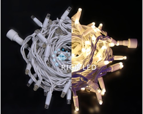 Гирлянда  RL-S10C-24V-RV/V Rich LED