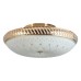 Потолочная люстра Loreen TL1492Y-05GC TopLight