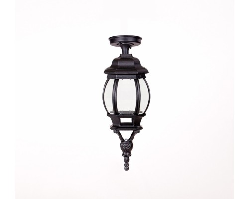 Потолочный светильник уличный AMERICA S 83405SA Bl Oasis Light